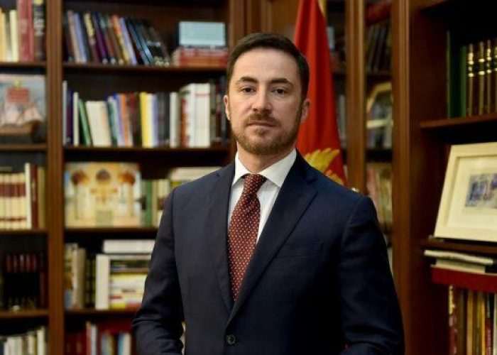 Aleksandar-Bogdanovic