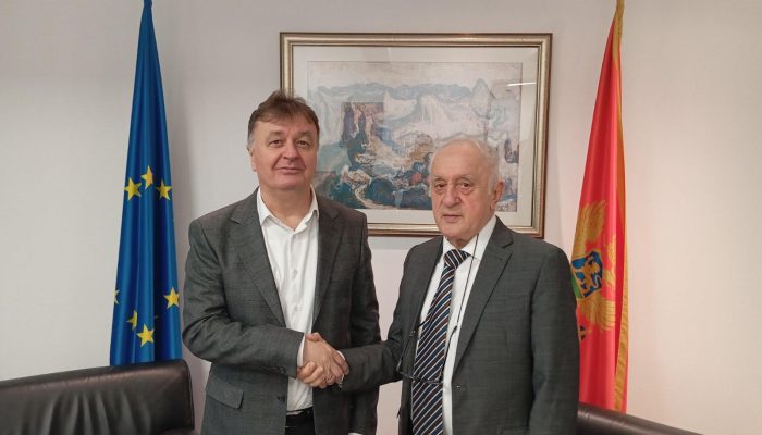 Budimir Aleksić - Momo Joksimović