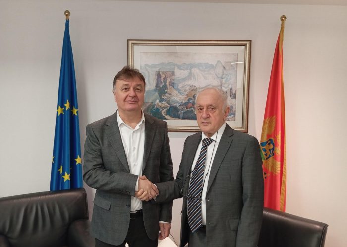 Budimir Aleksić - Momo Joksimović