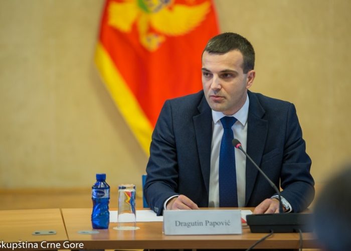 Dragutin-Papovic