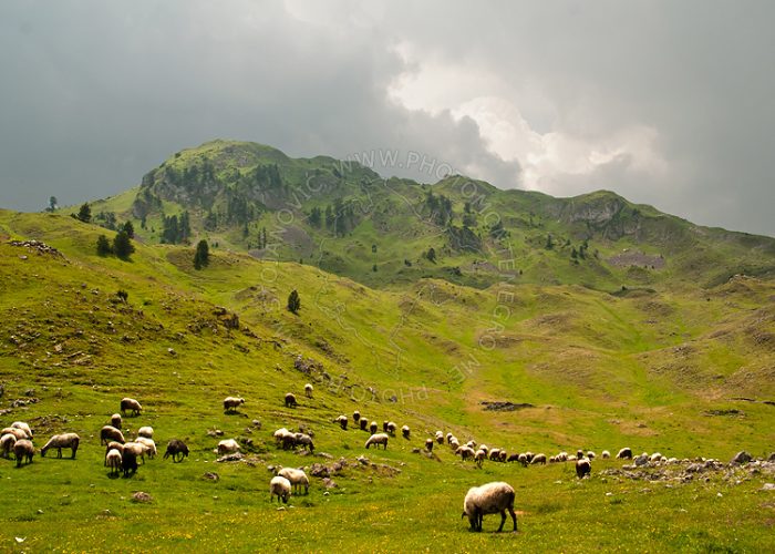 Mountains-Sinjajevina-10