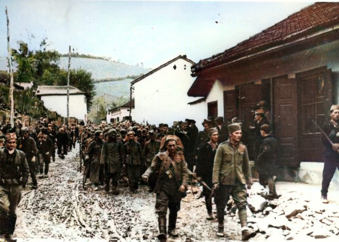 cetnici