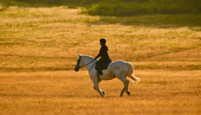 jahanje-konja-peter-kostov-unsplash
