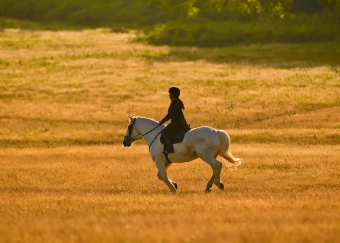 jahanje-konja-peter-kostov-unsplash
