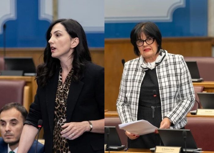 jevrosima-pejovic-i-radinka-cincur-foto-skupstina-717x555