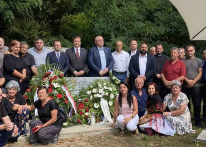 kozara1