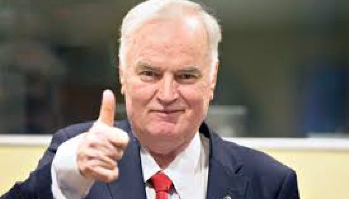 mladić