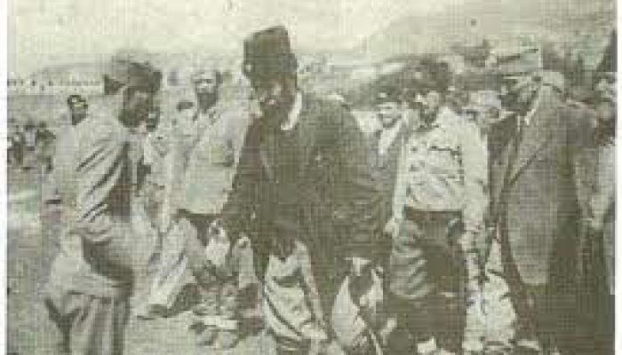pavle67