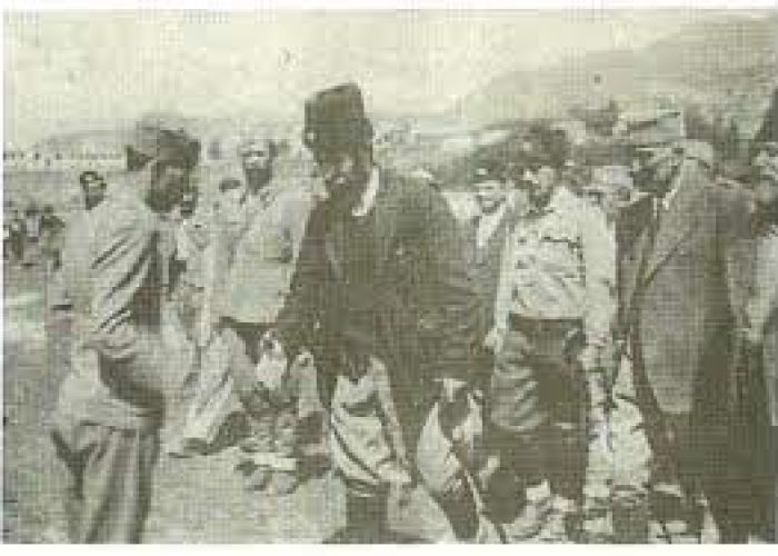pavle67