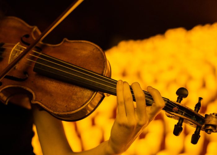 viol